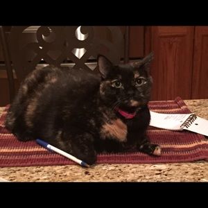 Meet your Posher, Darla