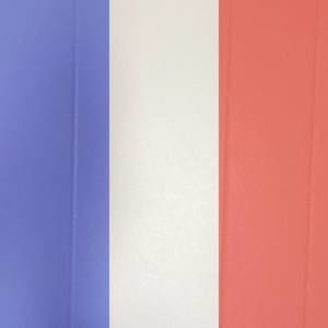 Meet your Posher, Aracely