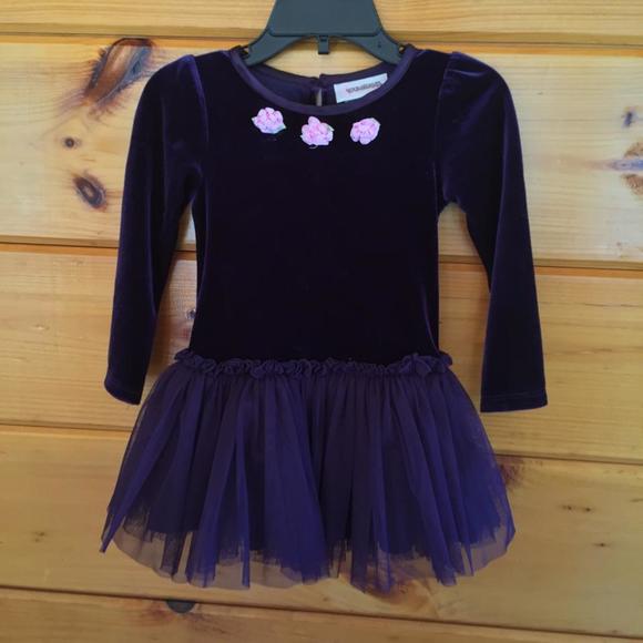 Adorable Youngland Velvet Tulle Dress 2T - Picture 1 of 4