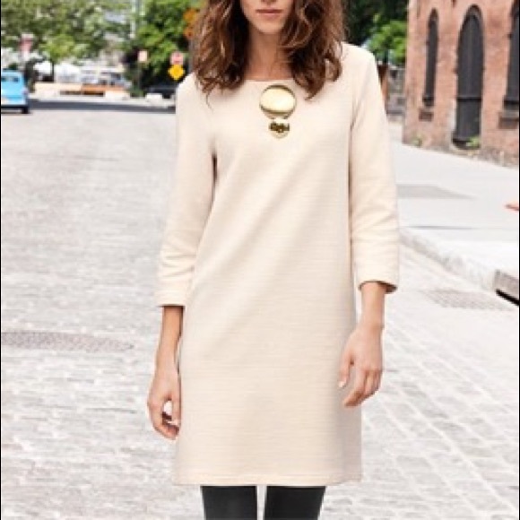 H&M Dresses & Skirts - Beautiful Cream Shift Dress