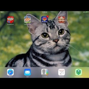 Meet your Posher, Susan