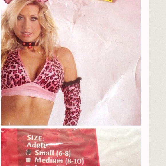 CALIFORNIA SEXY LEOPARD KITTY DELISH COSTUME S NWT - Picture 3 of 4
