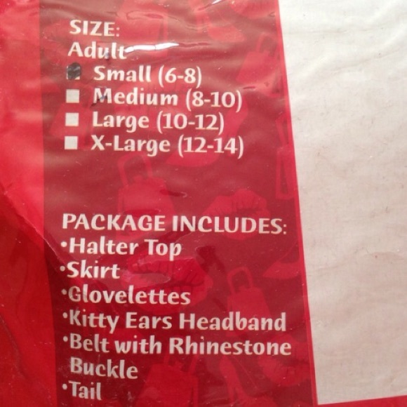 CALIFORNIA SEXY LEOPARD KITTY DELISH COSTUME S NWT - Picture 4 of 4