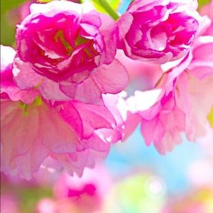 Meet your Posher, Feryal