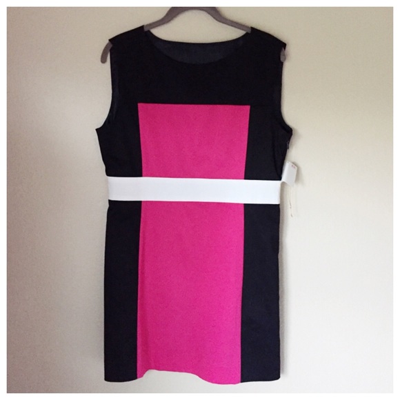 Britt Ryan Color Block Shift Dress