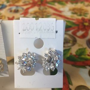 Women's earrings
