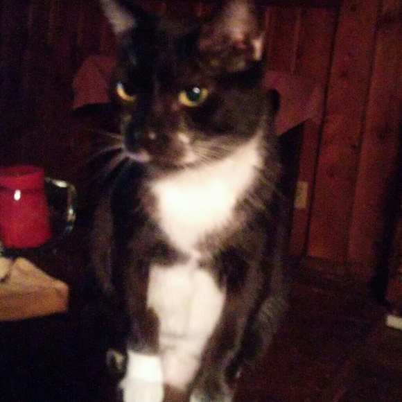 Meet your Posher, Jeana