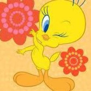 Meet your Posher, Veronica