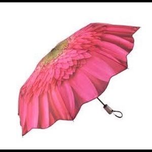 Galleria pink daisy folding umbrella