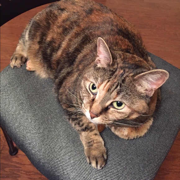 Meet your Posher, Sarah - Picture 2 of 2