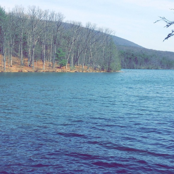 Meet your Posher, Haley - Picture 1 of 1