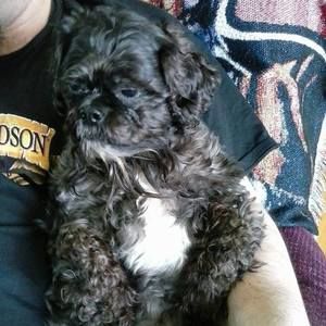 Meet your Posher, Julie