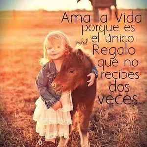 Meet your Posher, Rosa