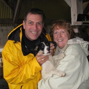 Meet your Posher, Joyce