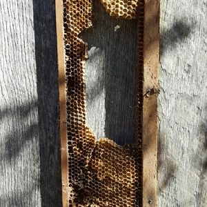 Meet your Posher, Sherry