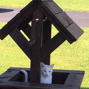 Meet your Posher, Patricia