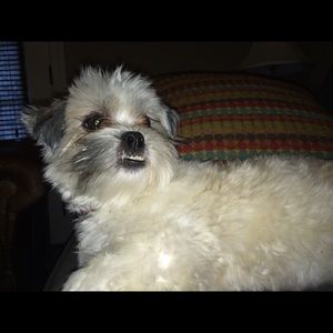 Meet your Posher, Dave