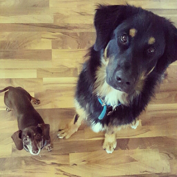 Meet Your Posher, Bre - Picture 2 of 2