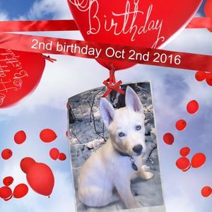 Meet your Posher, Deanna