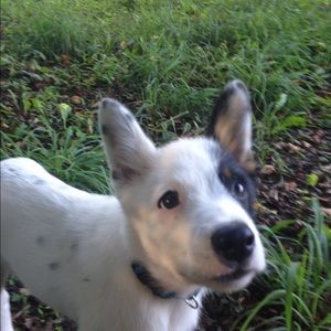 Meet your Posher, Jill