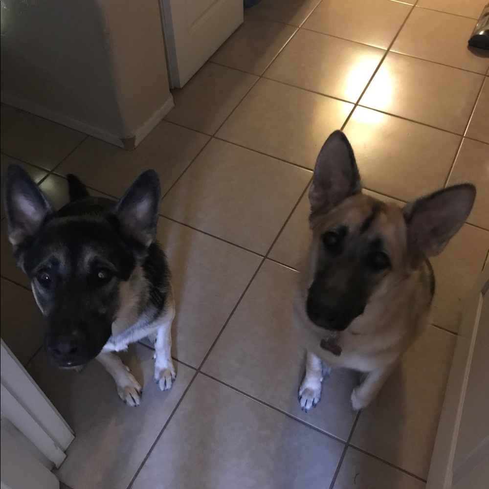 ⭐️SHOP NOW⭐️Treat yourself 2 a SALE❤️Happy Poshing