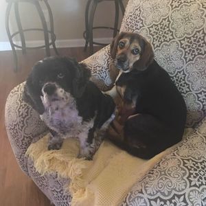 Meet your Posher, Marla