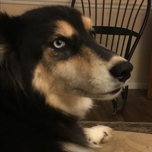 Meet your Posher, Kay