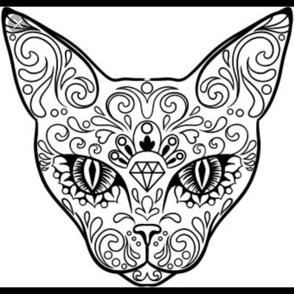 Meet your Posher, Serenity