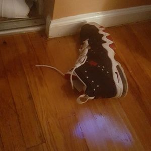 Meet your Posher, Dion