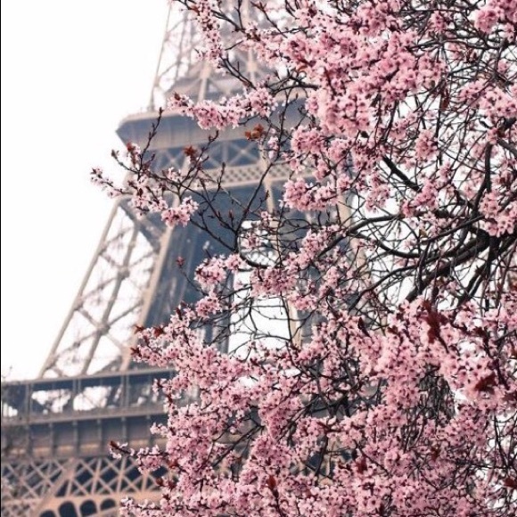 Meet your Posher, Brianna - Picture 1 of 1