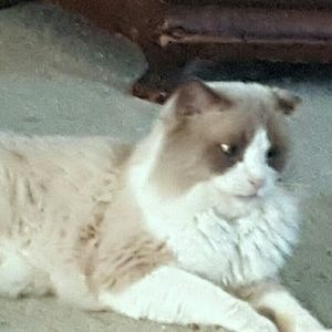 Meet your Posher, Carole