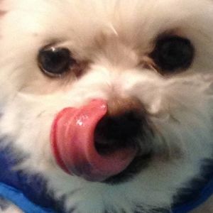 Meet your Posher, Lynn