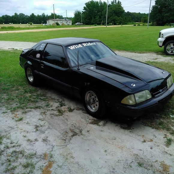 Meet your Posher, Jeremy - Picture 1 of 1