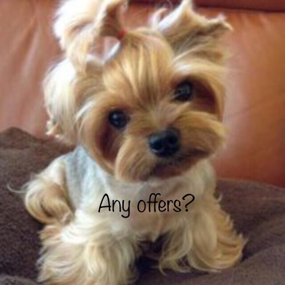 Reasonable Offers are welcome!!