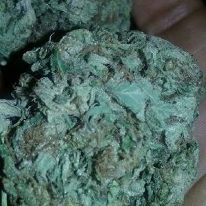 Meet your Posher, Ed