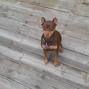 Meet your Posher, Jenny