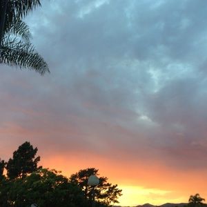 Meet your Posher, Maddie