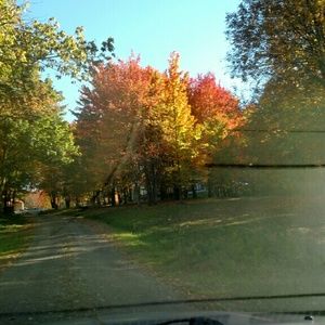 Meet your Posher, Eva