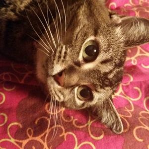 Meet your Posher, Angela