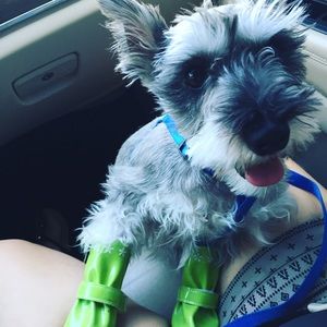 Meet your Posher, Cherese