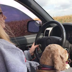 Meet your Posher, Abby