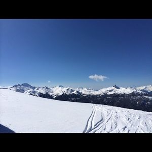 Meet your Posher, Morgan