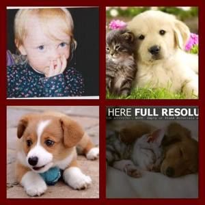 Meet your Posher, Ruby