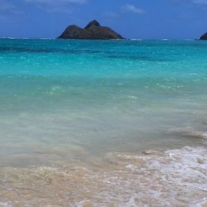 Meet your Posher, Millie