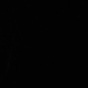 Meet your Posher, Cody