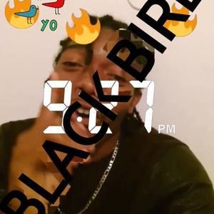 Meet your Posher, Timothy