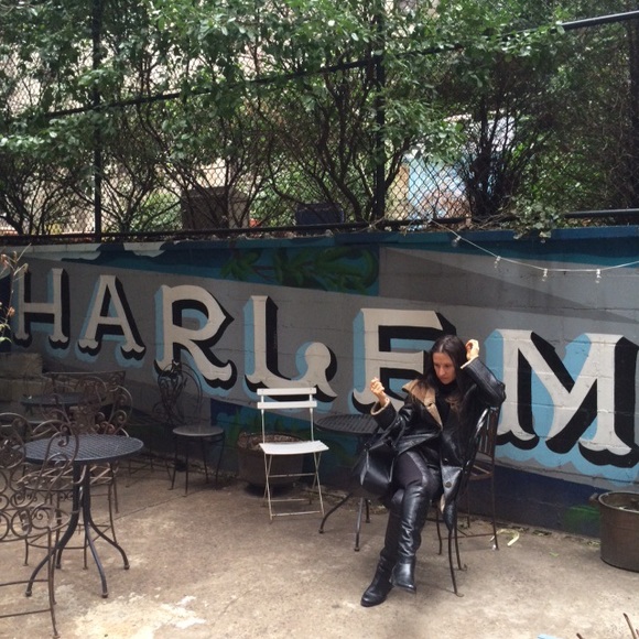 Meet your Posher, Rocket - Picture 5 of 8