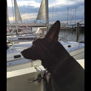 Meet your Posher, Jan