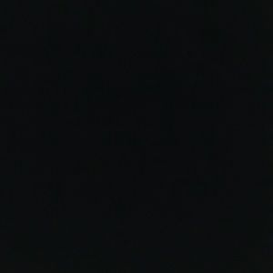 Meet your Posher, Marlene