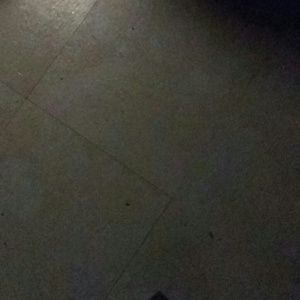 Meet your Posher, Juan